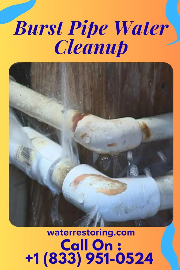 Burst Pipe Water Cleanup in Rouses Point, NY
