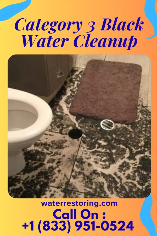 Category 3 Black Water Cleanup in Rouses Point, NY