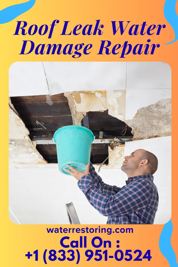 Roof Leak Water Damage Repair in Rouses Point, NY