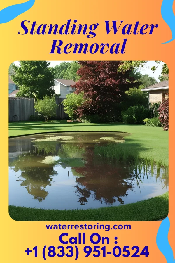 Standing Water Removal in Rouses Point, NY